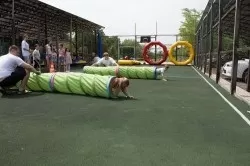 075